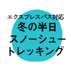 知床エクスプレスバス